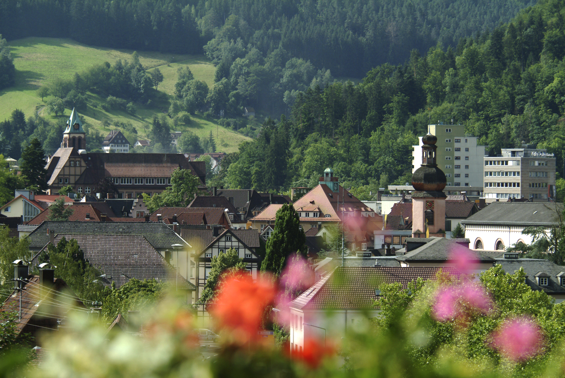 Erotische Massage  Schramberg