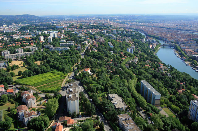 Pute  Sainte-Foy-les-Lyon