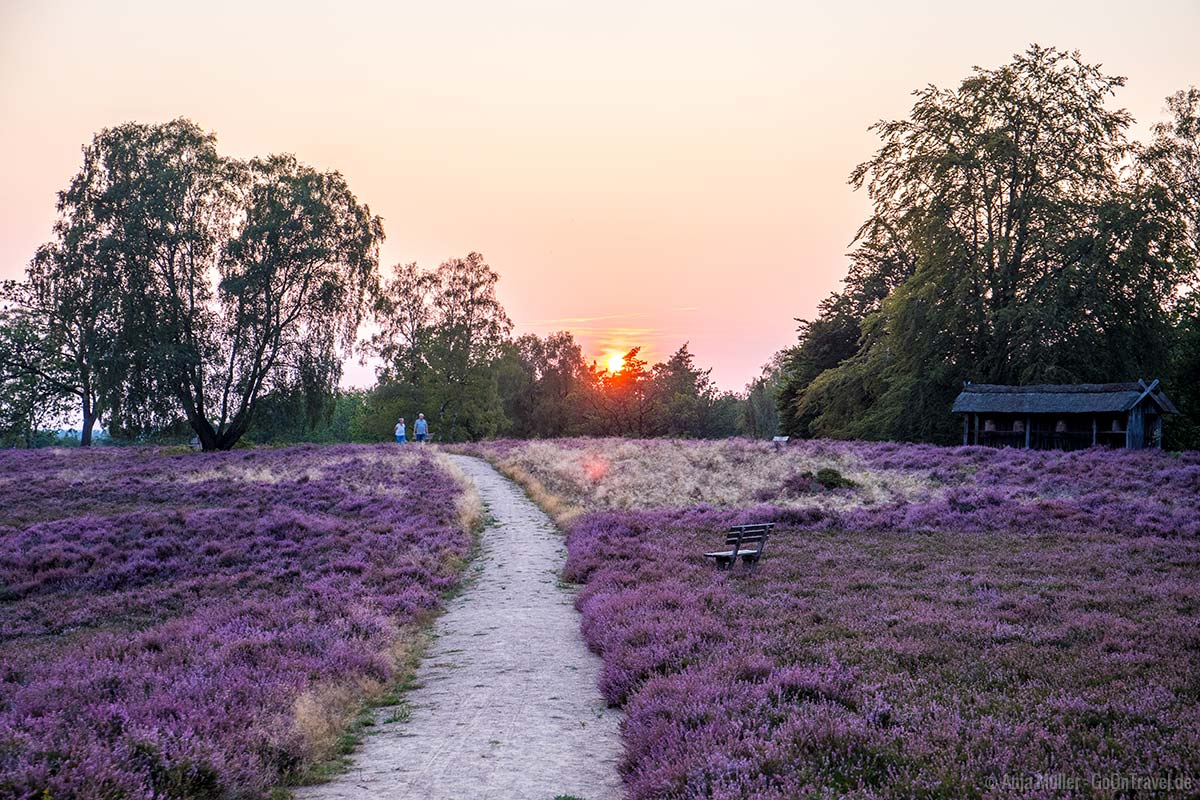 Finden Hooker in Heide, Schleswig-Holstein