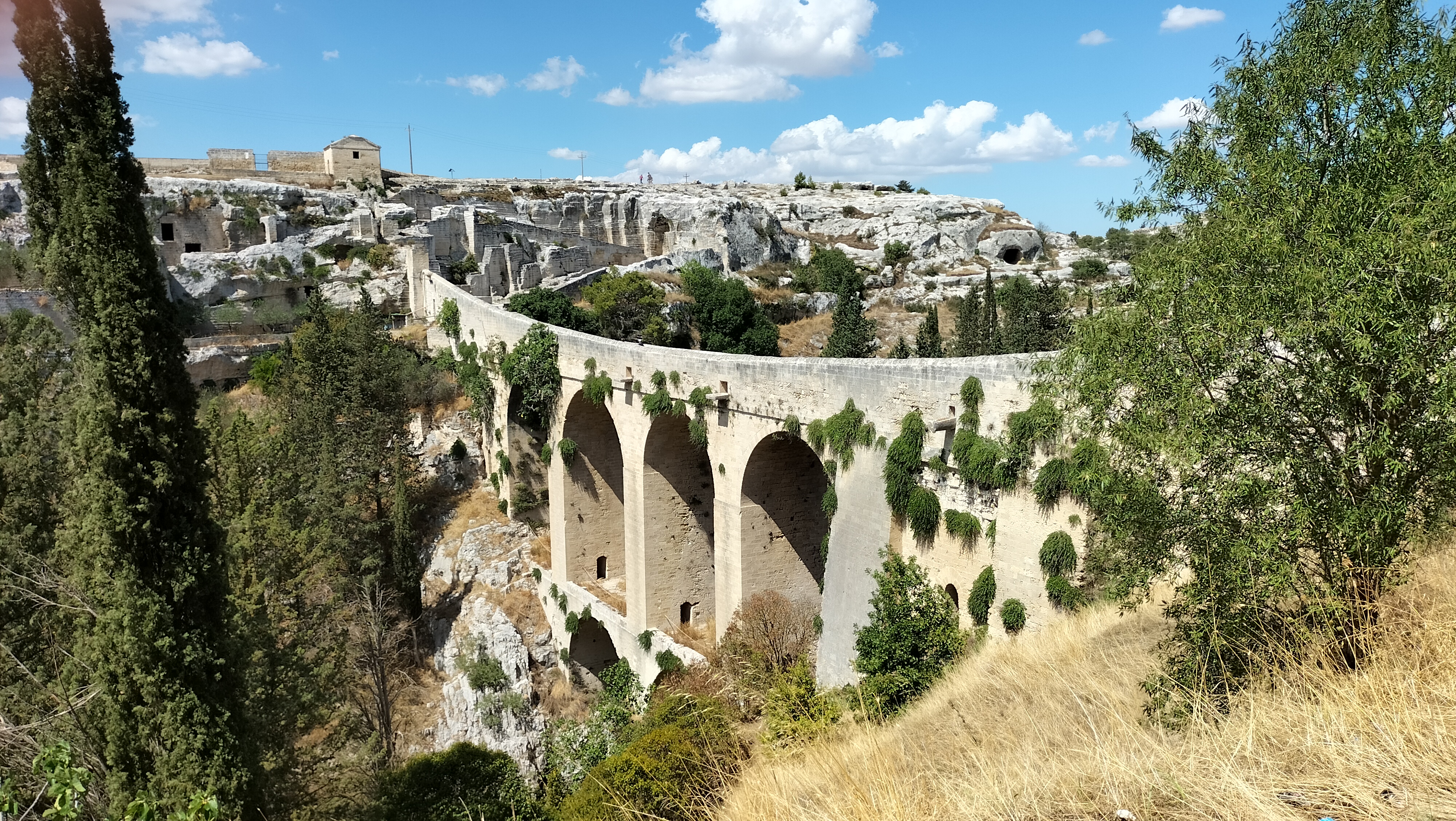 Puttana  Gravina in Puglia